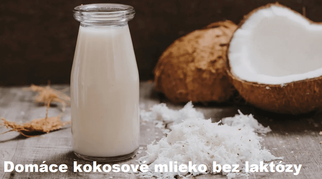 Domáce kokosové mlieko bez laktózy