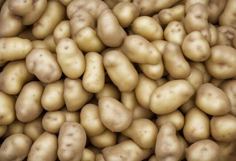 Koľko kalórií má zemiak?