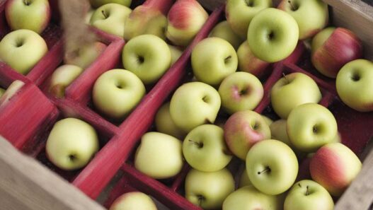 Ako konzervovať jablká?